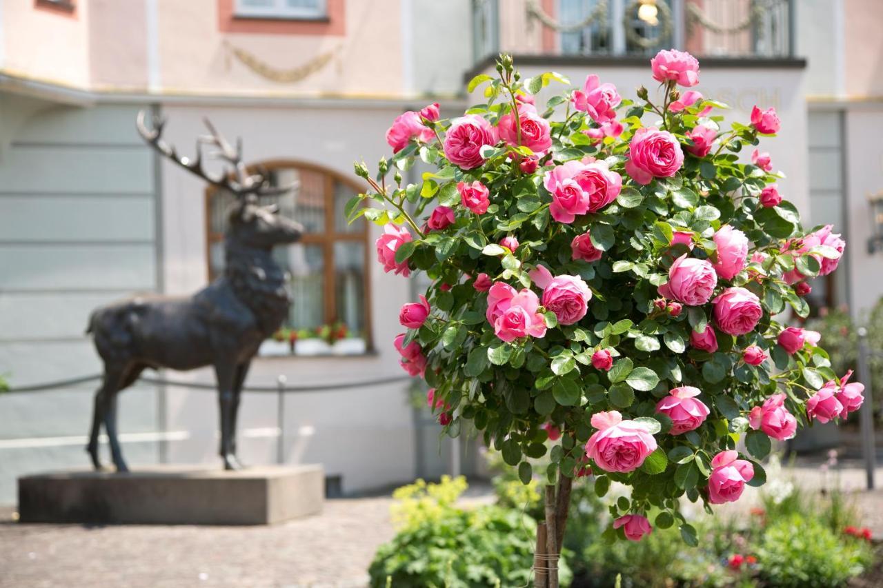 Hotel Hirsch Fussen Bagian luar foto